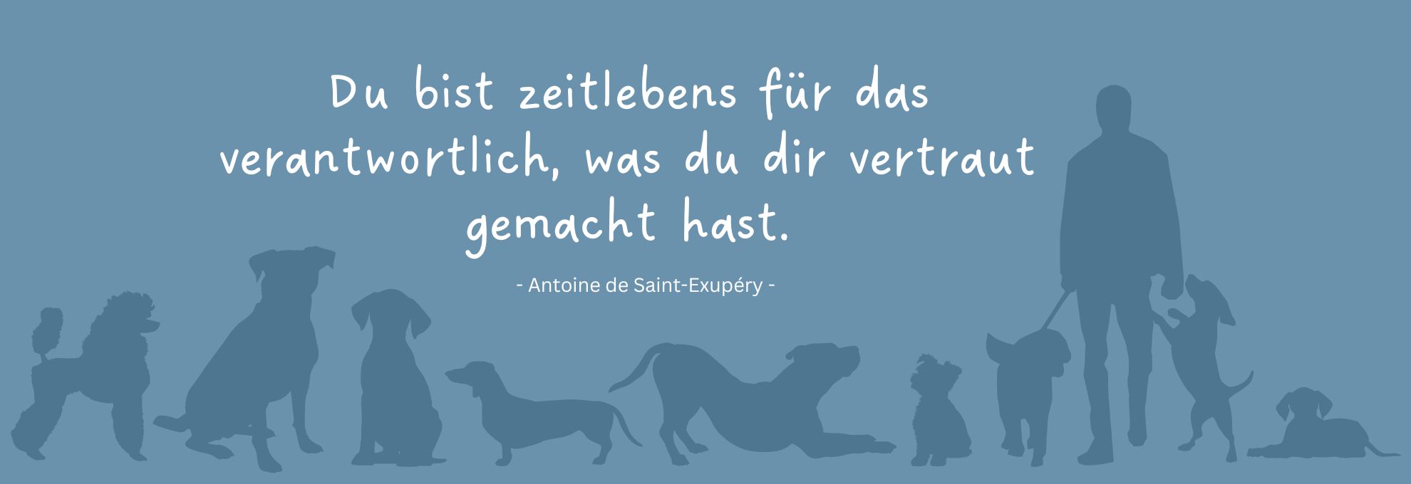 Hundeschule Fiffidogcus - gewaltfreies Hundetraining